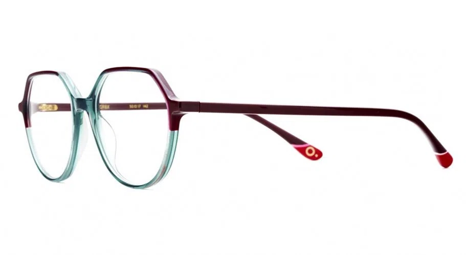 Etnia Barcelona ORCHID Eyeglasses - view 7